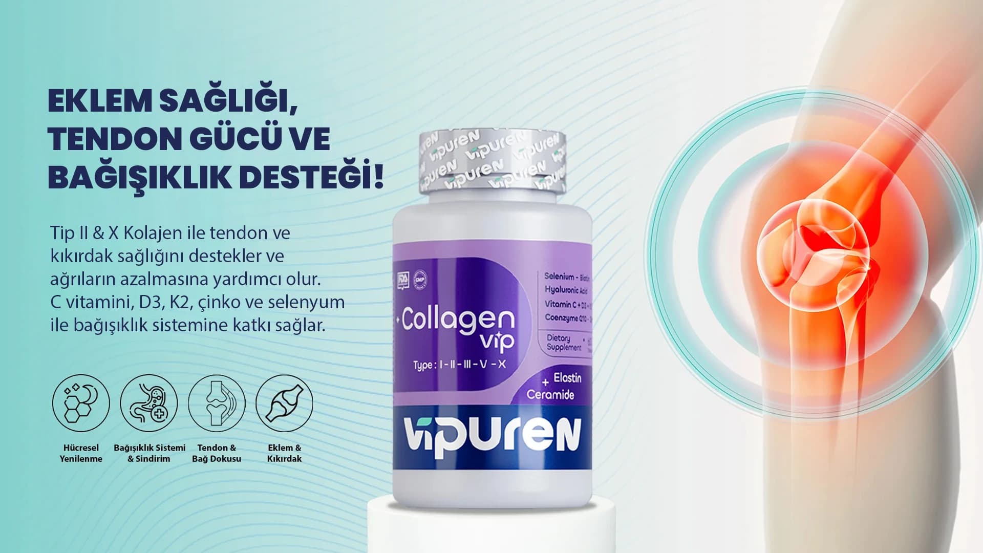 Eklem sağlığı, tendon ve bağışıklık desteği: tip II ve X kolajen, C vitamini, D3, K2, çinko ve selenyum
